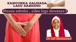 Xanuunka Galmada lagu Dareemo maxaa Sababa amp Sida lagu daweeyo [upl. by Lambert]