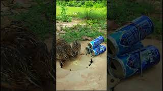 Ordinary bird traps quail traps shorts [upl. by Wivestad]