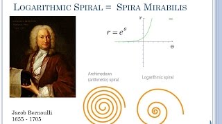 Introduction to Polar Coordinates [upl. by Leaw]