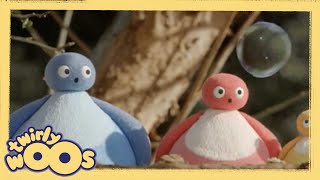 Pop  Twirlywoos Türkçe  Çocuklar için Videolar [upl. by Einneg456]