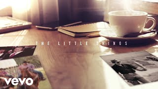 George Strait  The Little Things Official Audio Video [upl. by Aihpled]