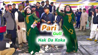 Nak Da Koka  Pari Gull  نک دا کوکا  Dance Performance 2024  DS Official [upl. by Aratnahs191]