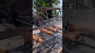 Roasting Delicacy Pig song music lyrics cover asmr food delicious japanese philippines [upl. by Atir]