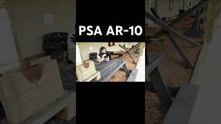 PSA AR10 DMR Gen 3 with Leopold VX Freedom Firedot ar10 psa palmettostatearmory dmr [upl. by Martino]