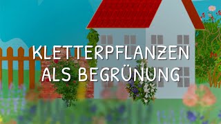 Kletterpflanzen als Begrünung [upl. by Arted]