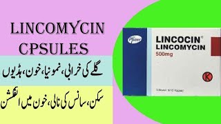 Lincomycin capsule lincomycin capsule uses [upl. by Ashla]