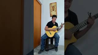 ADMER LLAJA  Viaje de Amor Cover Music [upl. by Yorgerg]