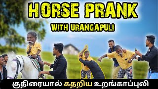 குதிரையால் கதறிய உறங்காப்புலிHORSE PRANK WITH URANGAPULIVelaiye Vlog DhaVVD [upl. by Fenella498]