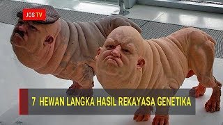 7 Hewan Langka dan Unik Hasil Rekayasa Genetika Manusia [upl. by Nawj]