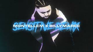 2ELLEM amp Billymaree  Sensitive Remix Official Audio [upl. by Teirtza820]