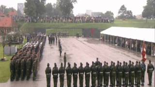 Danish Military Parade  Queen arriving [upl. by Guenzi]