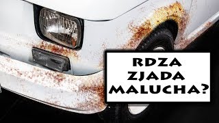 Jak wygląda Maluch rok po remoncie RELACJA  Duży w Maluchu EXTRA [upl. by Ailerua]