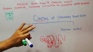 CVS 196  Control of coronary blood flow  Role of adenosine  oxygen  Nerous control  drchamkani [upl. by Ahseik]