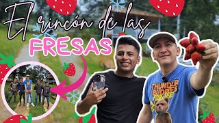 NOS FUIMOS A CORTAR FRESAS HASTA CHALATENANGO CON willywalking [upl. by Wehner]