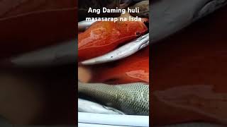 Masasarap na Isda Ang Nahuli fishing fishing fishingvideo fish fish viralvideo [upl. by Gus214]