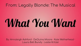 Legally Blond The Musical  What You Want Lyric Video [upl. by Gilud]