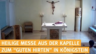 Heilige Messe live aus Königstein im Taunus [upl. by Meyers]