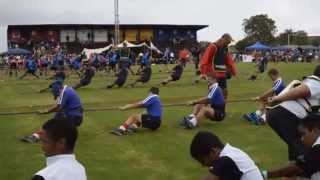 SA Junior Tug of War 2015  480kg [upl. by Aenil330]