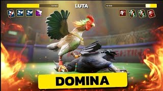 JOGO DE BRIGA DE GALO  ROOSTER FIGHTS [upl. by Mariquilla744]