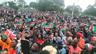 Tribeless Nation Kenya  They Will Not Believe  Uhuru Park [upl. by Eustacia]