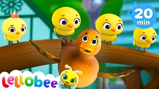 NEW 🐤 Learning to Fly 🐤  Lellobee City Farm  Songs and Cartoons  Best Videos for Babies [upl. by Elatsyrk]