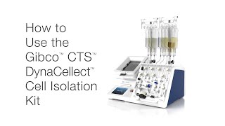 How to Use the Gibco CTS DynaCellect Cell Isolation Kit 229 [upl. by Annoik]