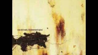 Nine Inch Nails  The Downward Spiral [upl. by Phyl727]