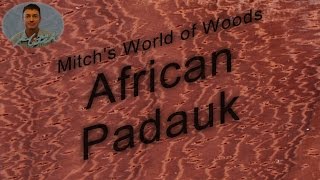 African Padauk  Mitchs World of Woods [upl. by Torin465]