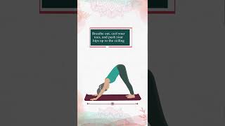 How to Do Surya Namaskar Sun Salutations for Beginners  Arhanta Yoga [upl. by Alieka]