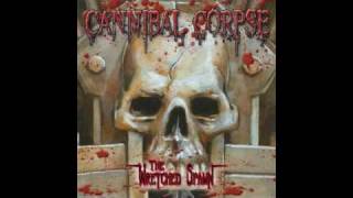 Cannibal Corpse  Frantic Disembowelment [upl. by Ierdna997]