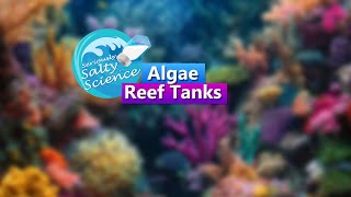 Algae and Reef Tanks  Seriously Salty Science Saltwater Reef Chat [upl. by Platus]