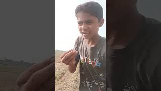 Dhanteras ka offer comedy funny jokes fun bhojpuri comedy [upl. by Whitebook]