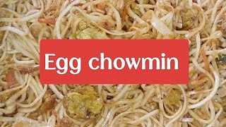 Perfect Egg Chow Mein  A Step by Step Guideeggchowmein I made the perfect egg chowmein recipe [upl. by Adair750]