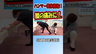 【膝の痛みに😩】しゃがめない！10年痛い！正座も辛い！ ハンマー整体 整体院 整骨院 整骨 膝の痛み 正座 [upl. by Enilrae]