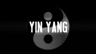 USS  Yin Yang OFFICIAL LYRIC VIDEO [upl. by Nellad917]