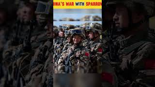 Chinas War With Sparrows Birds 🐦shorts shortfeed amazingfacts factsinhindi sparrow [upl. by Key]