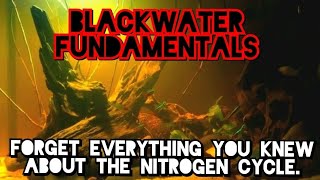 BLACKWATER How to Safely Set Up Low Ph High Tannin Acidic Aquariums The World of Archaea amp Fungi [upl. by Rosalia]