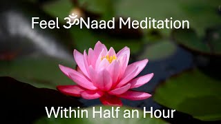 Medium Duration Om Naad Meditation [upl. by Freed]