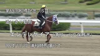 2024船橋記念（SⅢ）追いきり動画 エンテレケイア（浦和・小久保厩舎） 20241120 浦和競馬場にて [upl. by Henghold]