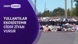 Tullantılar ekosistemə ciddi ziyan vurur [upl. by Kingdon156]