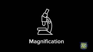 How to calculate magnification [upl. by Schnur]