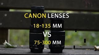 Canon Lens 18 135 VS 75300 mm compare  Canon 80D [upl. by Joleen]