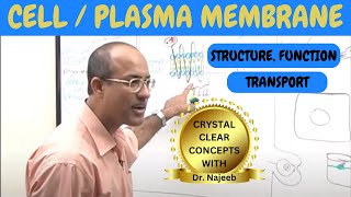 Cell or Plasma Membrane  Structure  Function amp Transport🧬 [upl. by Pik]