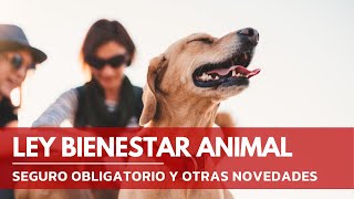 Seguro Obligatorio para Perros Nueva Ley de Bienestar Animal 2023  Terránea [upl. by Ehtnax91]