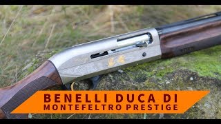 Semiautomatico Benelli Duca di Montefeltro Prestige Test a caccia [upl. by Ailem]