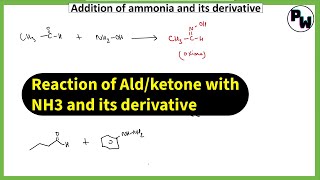 Enamine and imine from ketone  reaction of aldehyde and ketone revision [upl. by Mezoff]