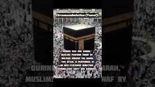 Circumambulation Tawaf kaba short shortvideo [upl. by Leibrag]