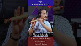 Flute Music  Flute Solo  Bansuri Song  Basuridhun  Instrumental Music flute flutemusic shorts [upl. by Aowda286]