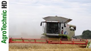 Żniwa 2016 na dużą skalę w Wielkopolsce  4X Claas Lexion MF 9280 JD T660 HD 60 FPS [upl. by Ytissahc]