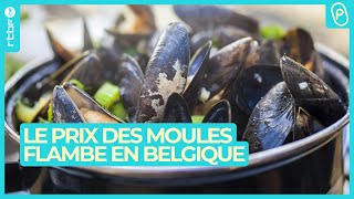 Le prix des moules frites et des croquettes s’envolent en Belgique  On nest pas des Pigeons [upl. by Lidah800]